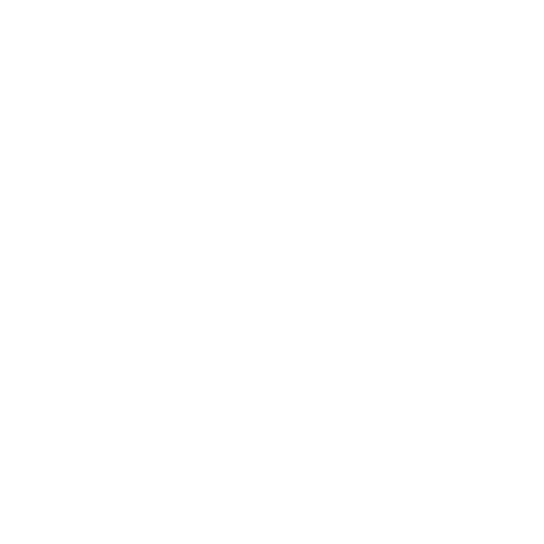 Immigration & Visa Services