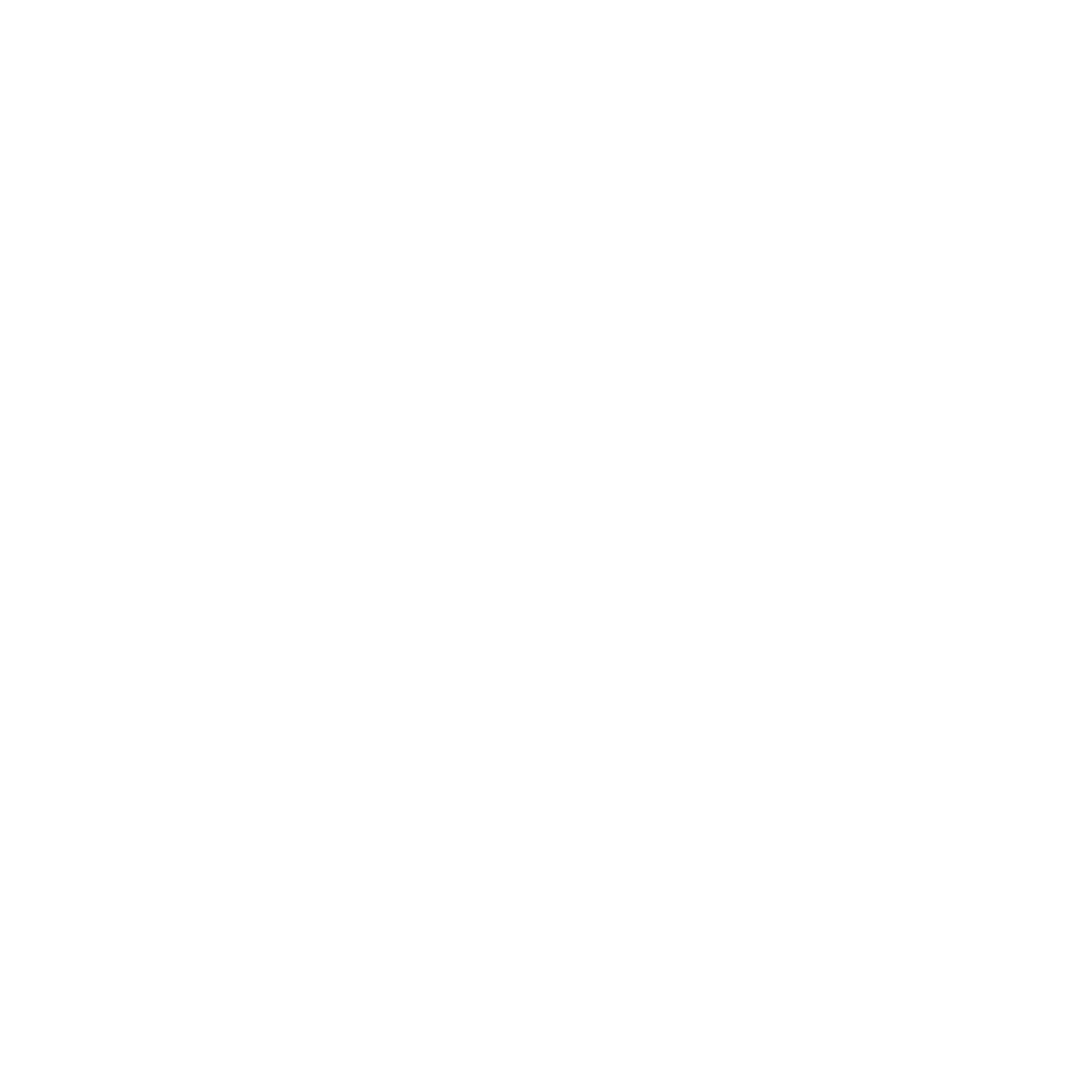 Fashion Retailers