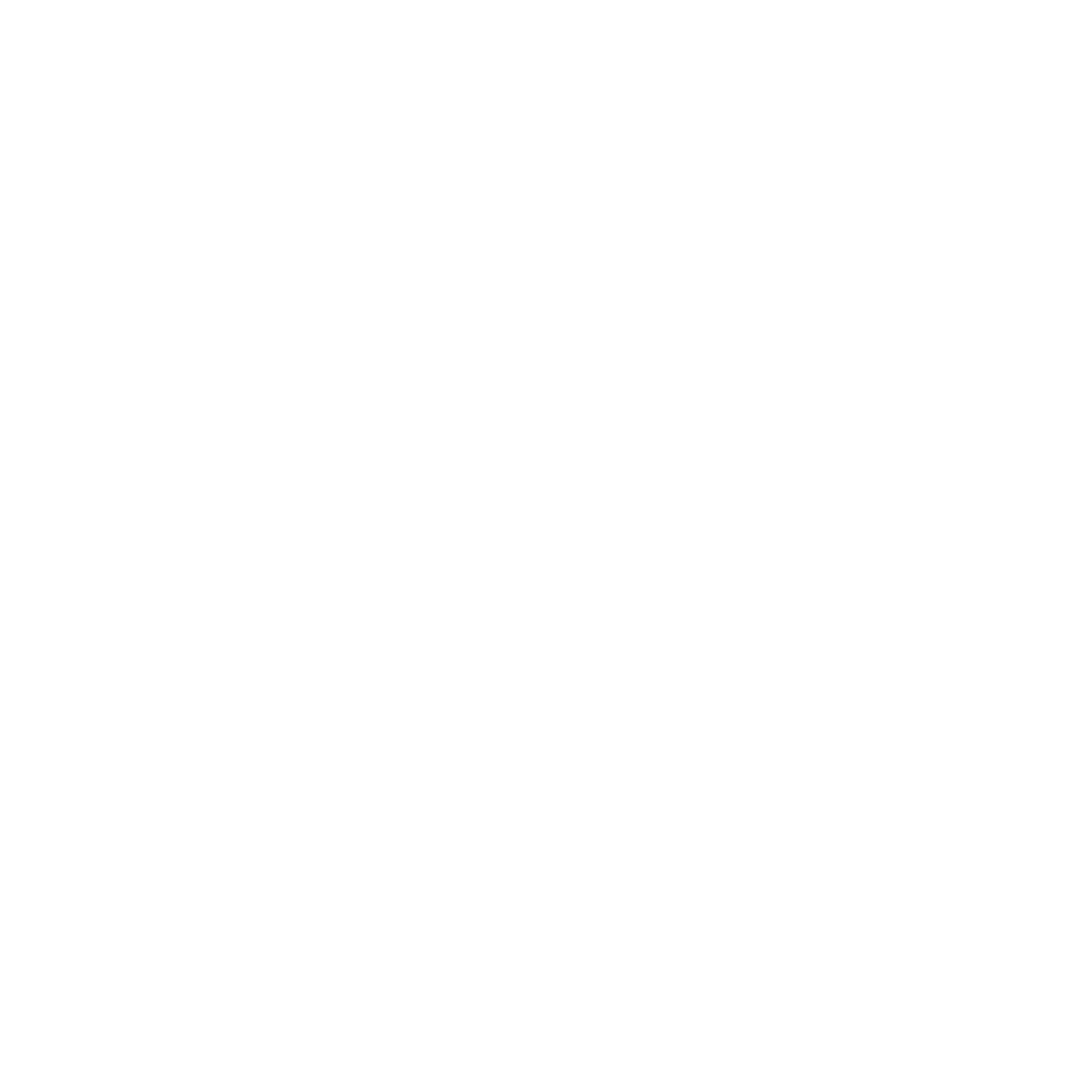 Bus & Transport Services