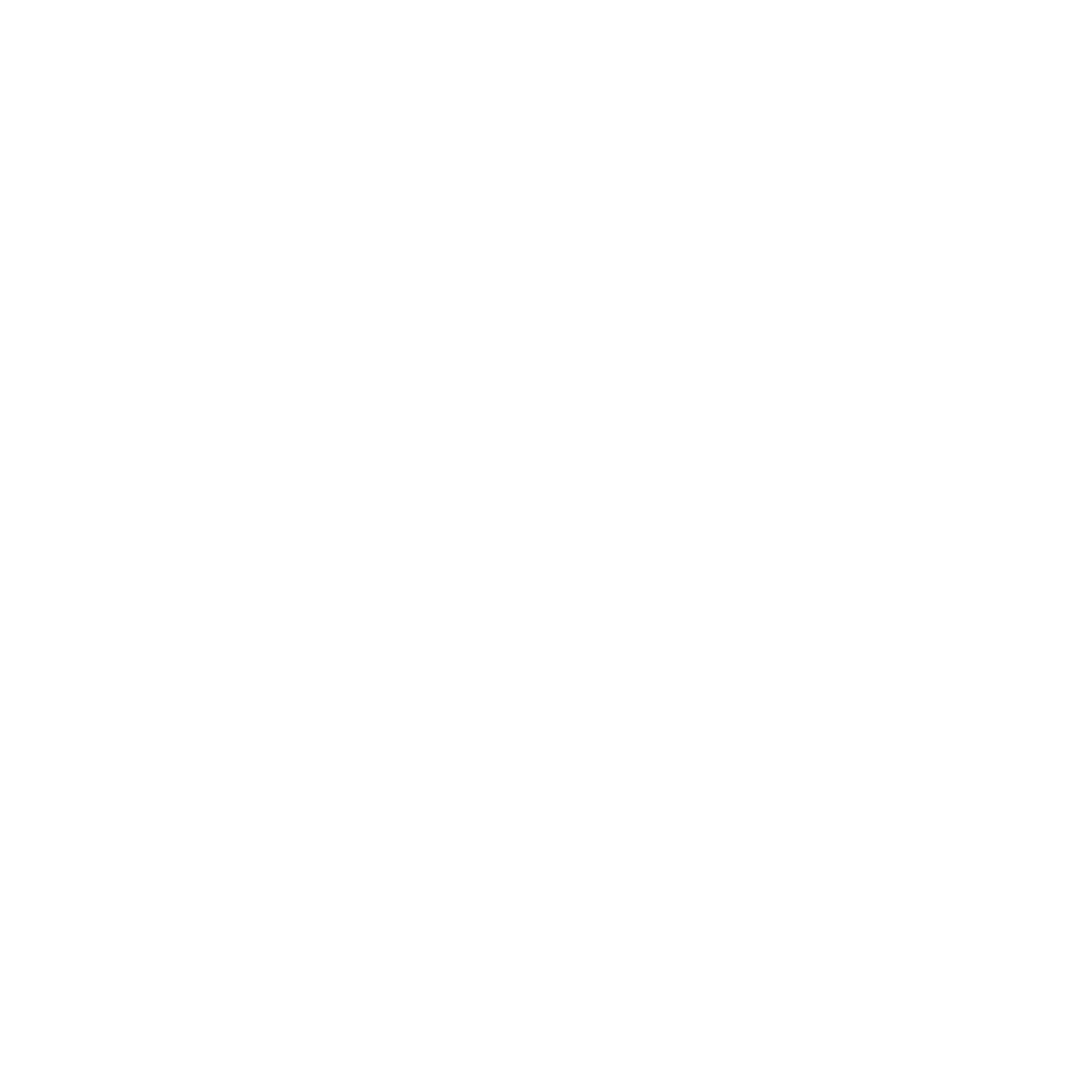 Computer & IT Stores