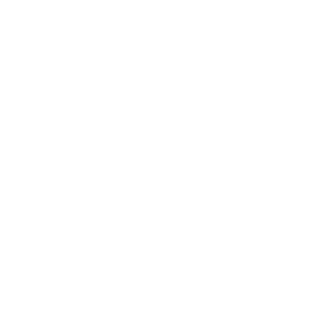 Mechanics & Auto Repair